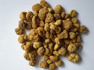 延胡索有什么功效与作用?
